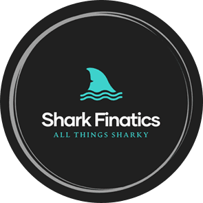 A black and white picture of a shark fin.